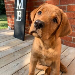 Meet your Posher, Tori